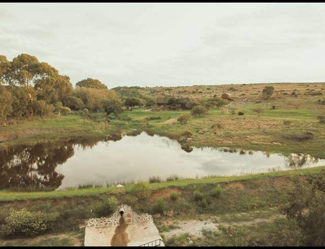 FARM FOR SALE IN ZANDFONTEIN AH